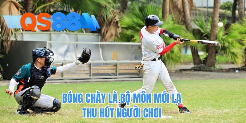 Bóng chày là bộ môn mới lạ thu hút người chơi 